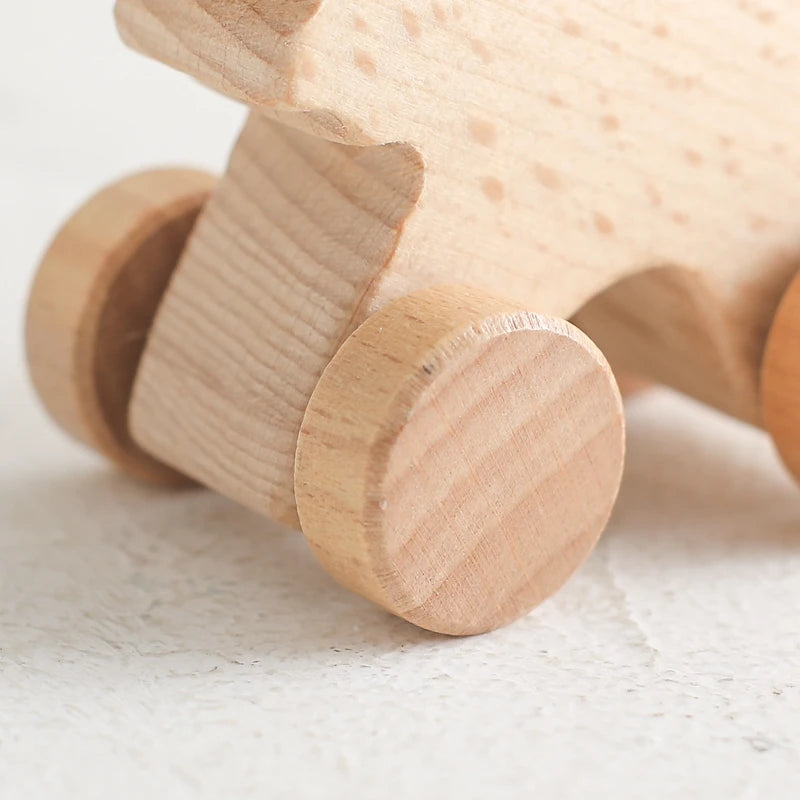 Montessori Wooden Dinosaur Push Toy Set – Rolling Dinos for Toddlers & Kids