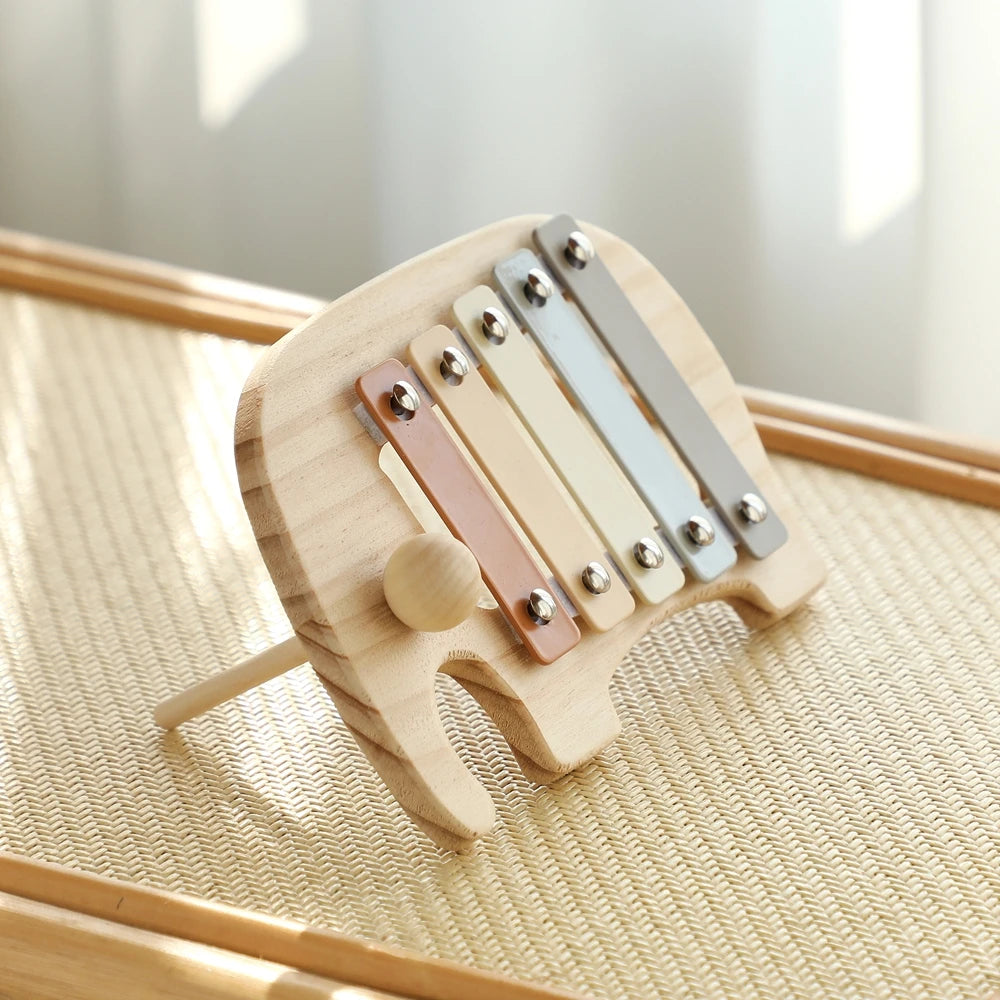 Pick Your Musical Toy – Xylophone, Tambourine, Rattle & More