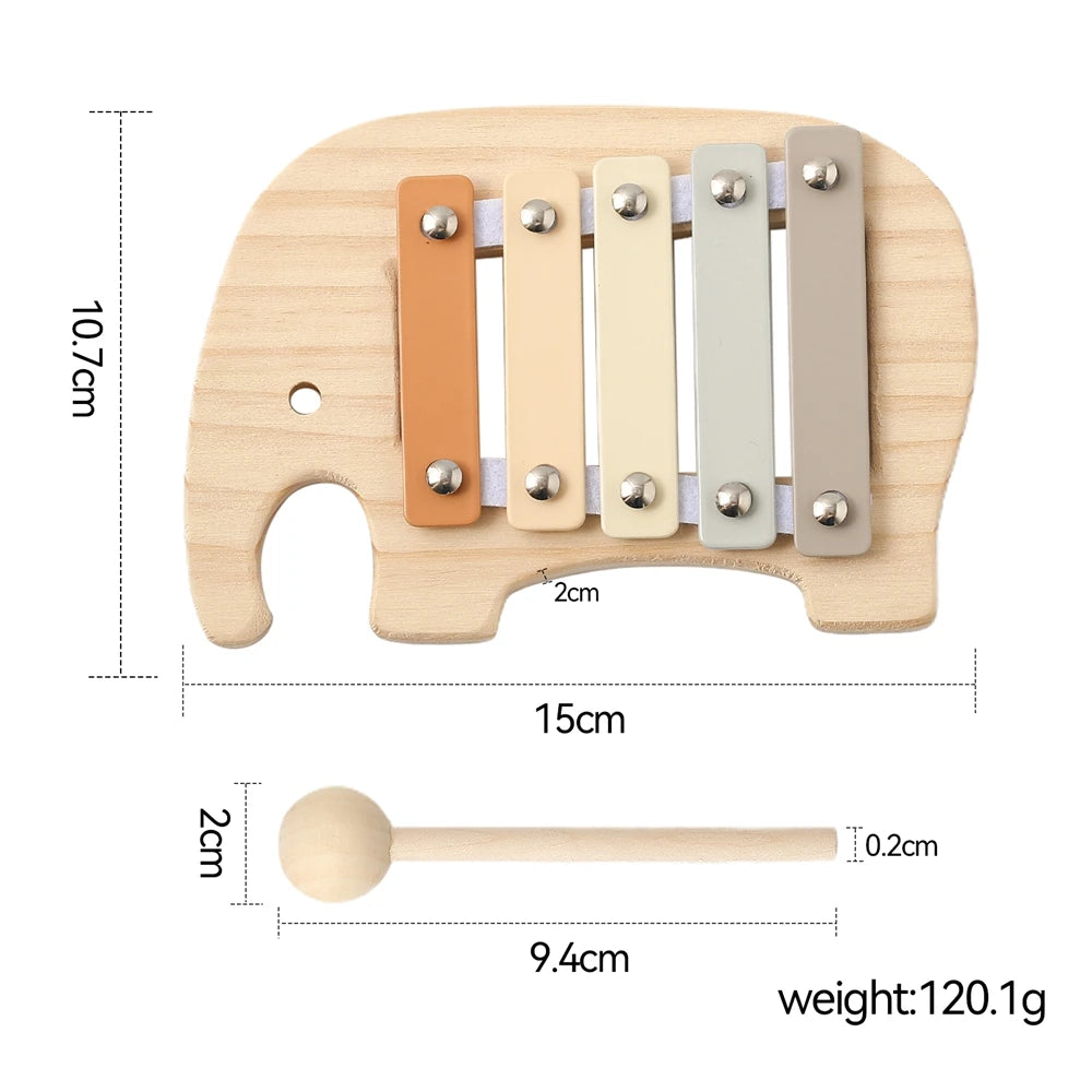 Pick Your Musical Toy – Xylophone, Tambourine, Rattle & More
